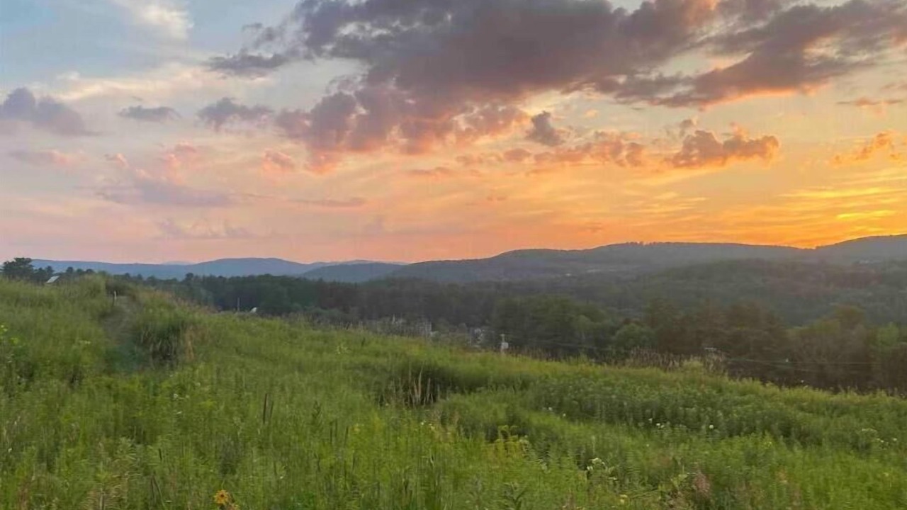 Photo of Others in Brownsville