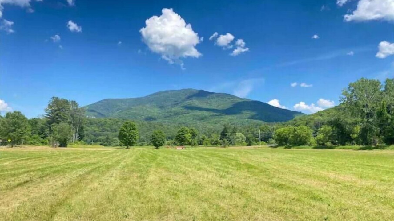 Photo of Others in Brownsville