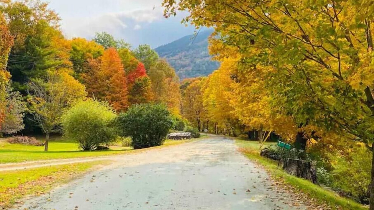 Photo of Others in Brownsville