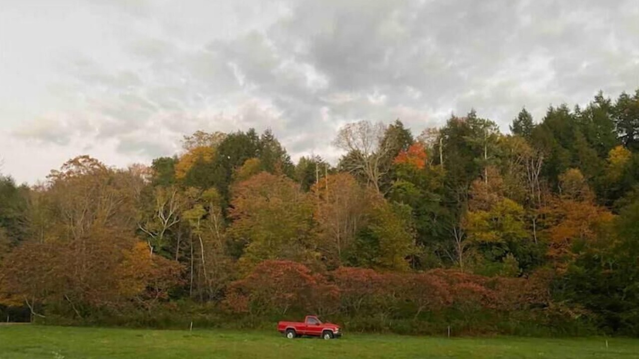 Photo of Others in Brownsville