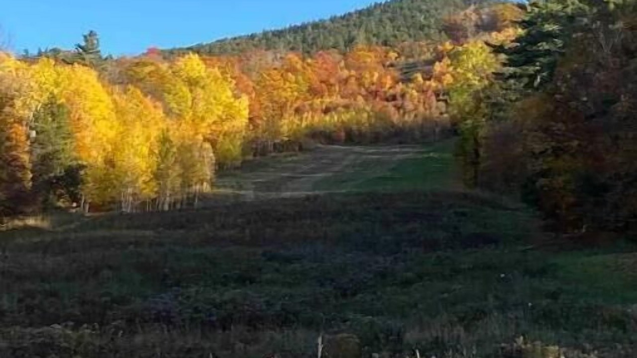 Photo of Others in Brownsville