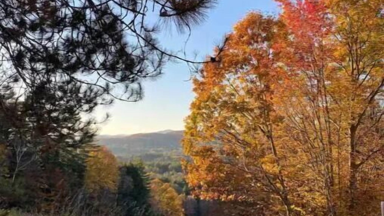 Photo of Others in Brownsville