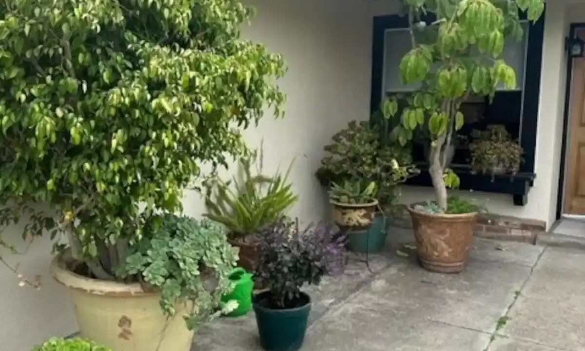 Photo of Outdoor in Salinas