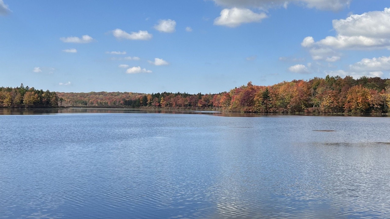 Photo of Outdoor in Tobyhanna
