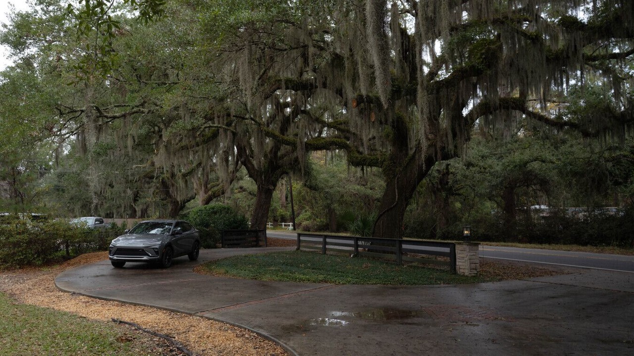 Photo of Outdoor in Savannah