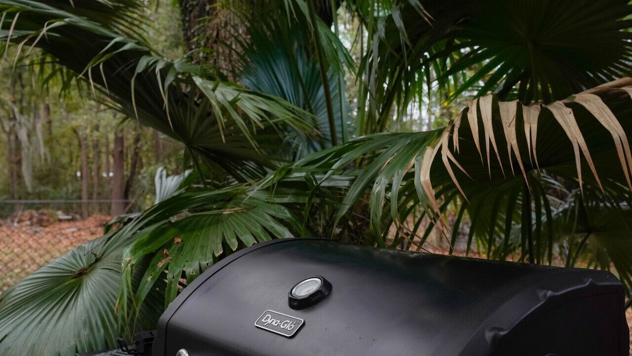 Photo of Outdoor in Savannah