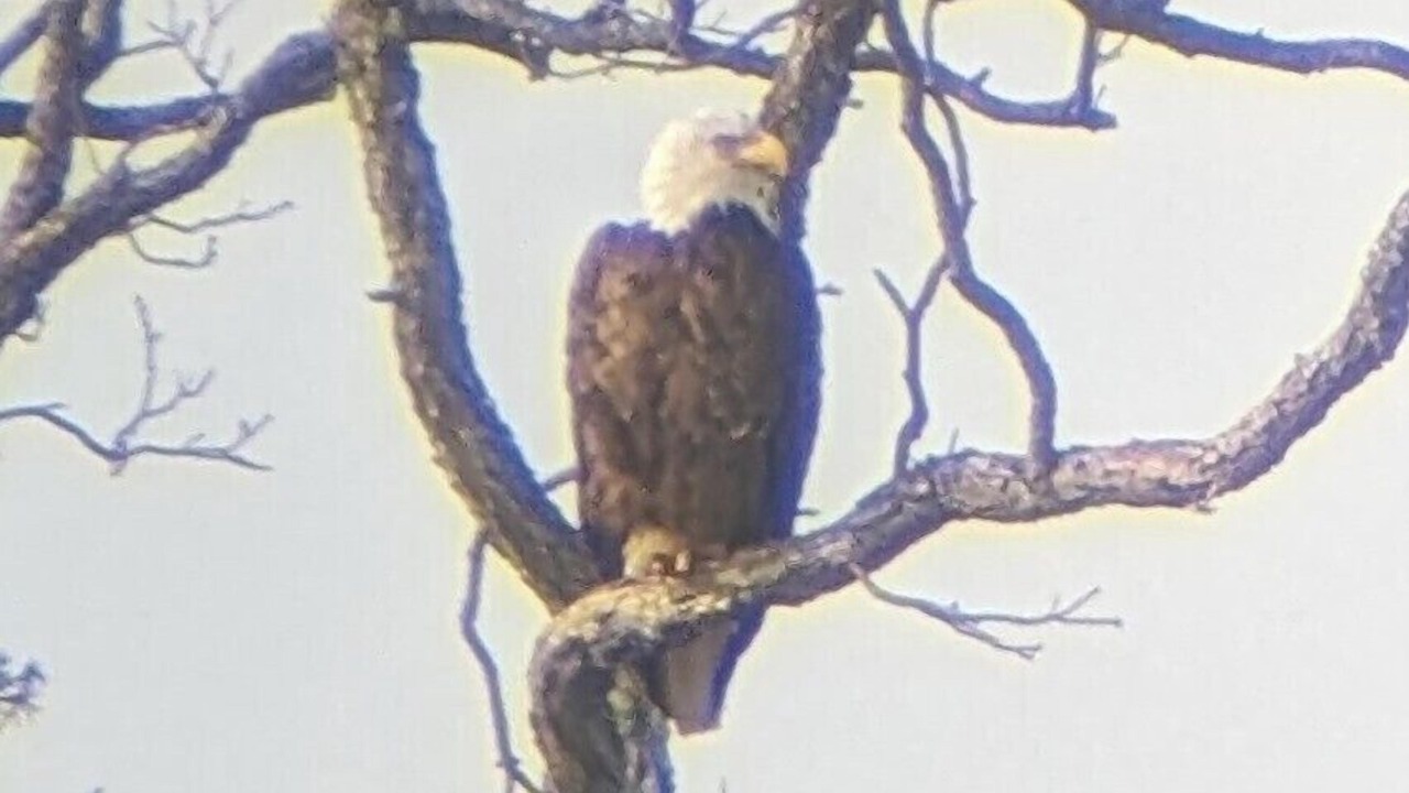 Photo of Others in Llano
