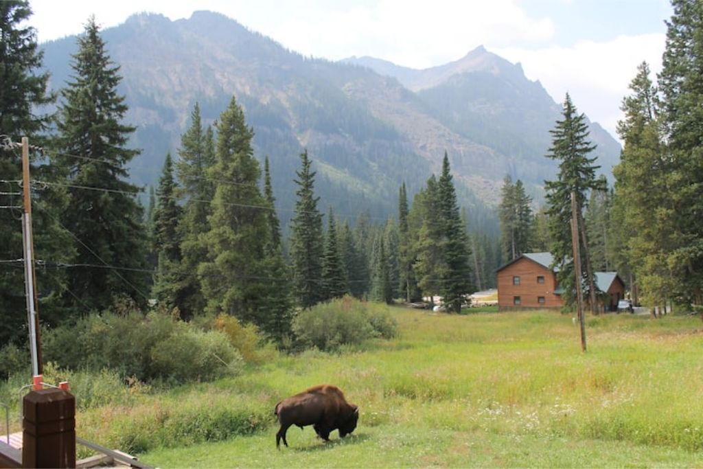 Photo of Others in Cooke City-Silver Gate