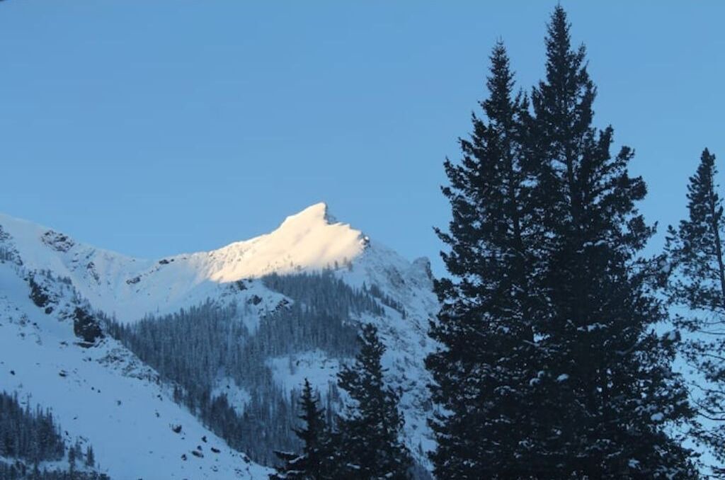 Photo of Others in Cooke City-Silver Gate
