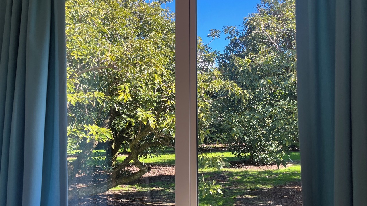 Photo of Others in Aongatete