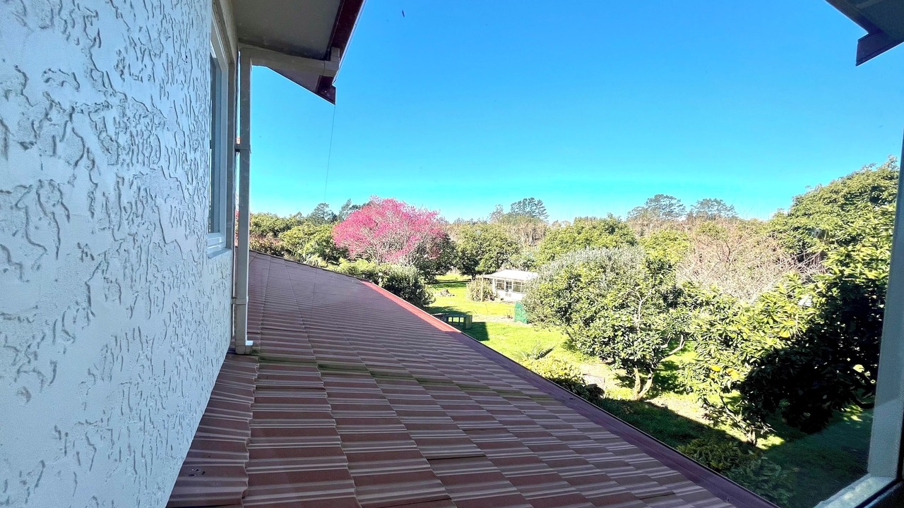 Photo of Others in Aongatete