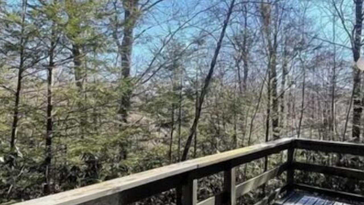 Photo of Outdoor in Tannersville