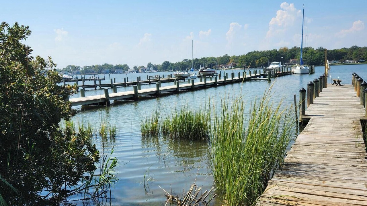 Photo of Others in Arundel on the Bay