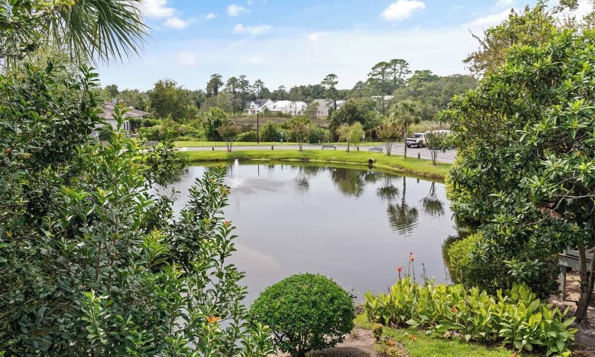 Photo of Outdoor in Saint Simons Heights