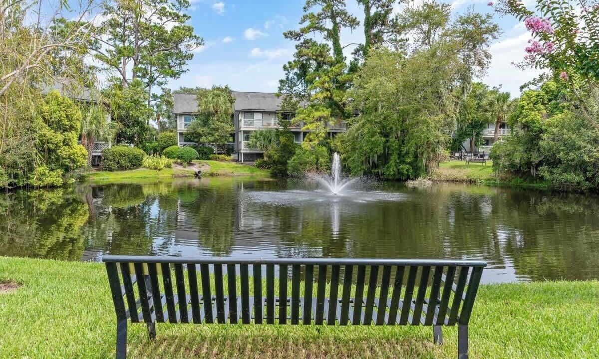 Photo of Outdoor in Saint Simons Heights