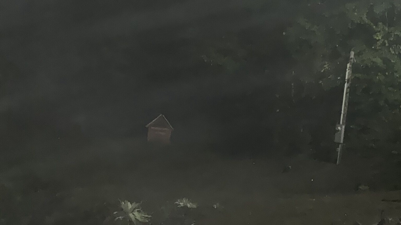 Photo of Others in Sevierville