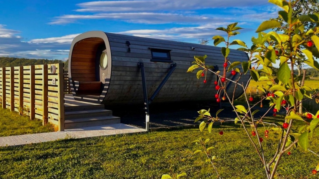 Photo of Others in Alloa