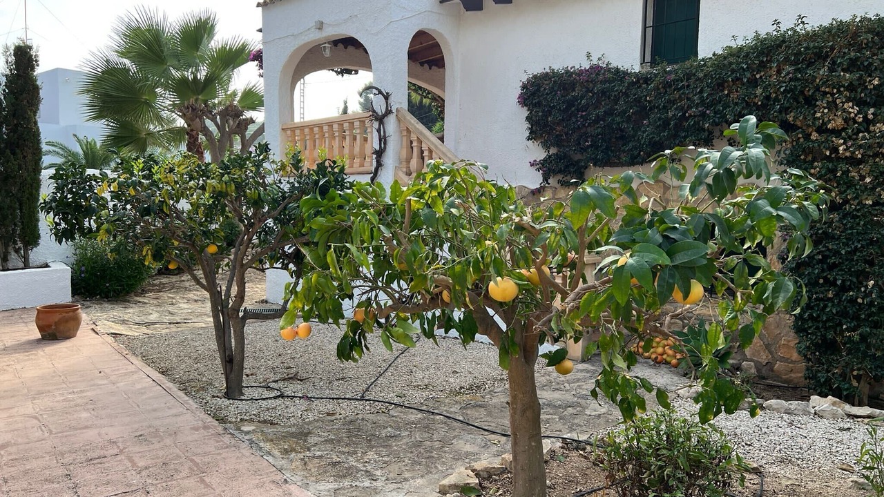 Photo of Outdoor in El Portet
