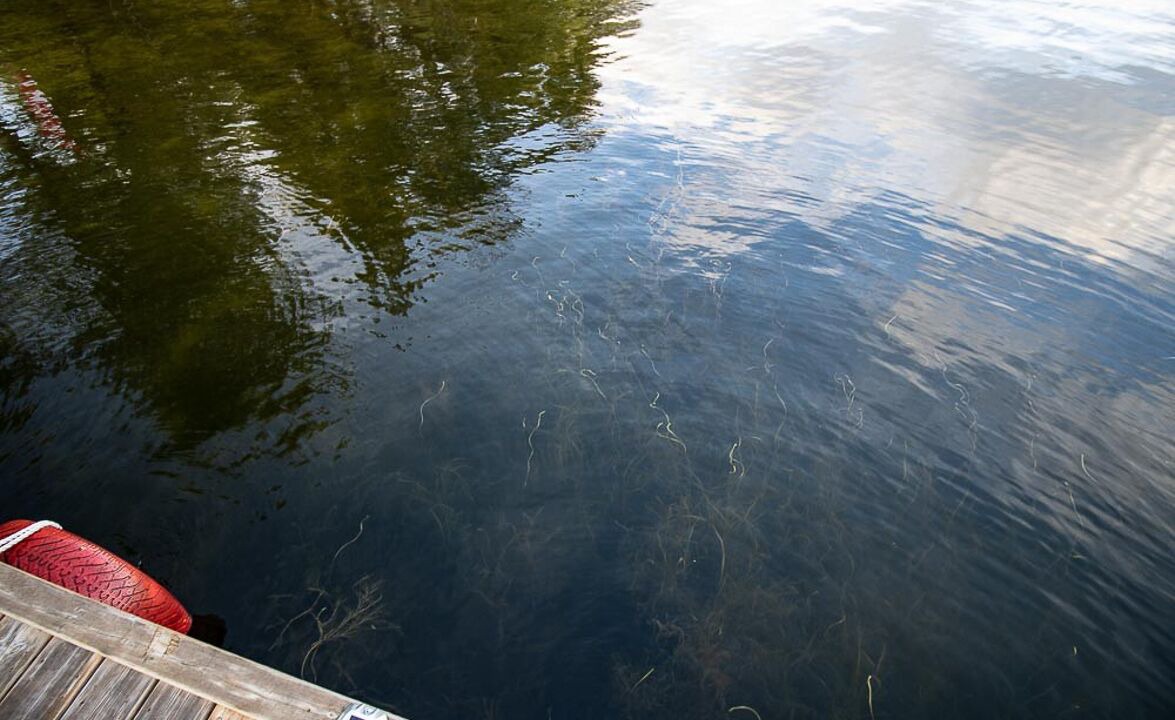 Photo of Outdoor in Quinte West