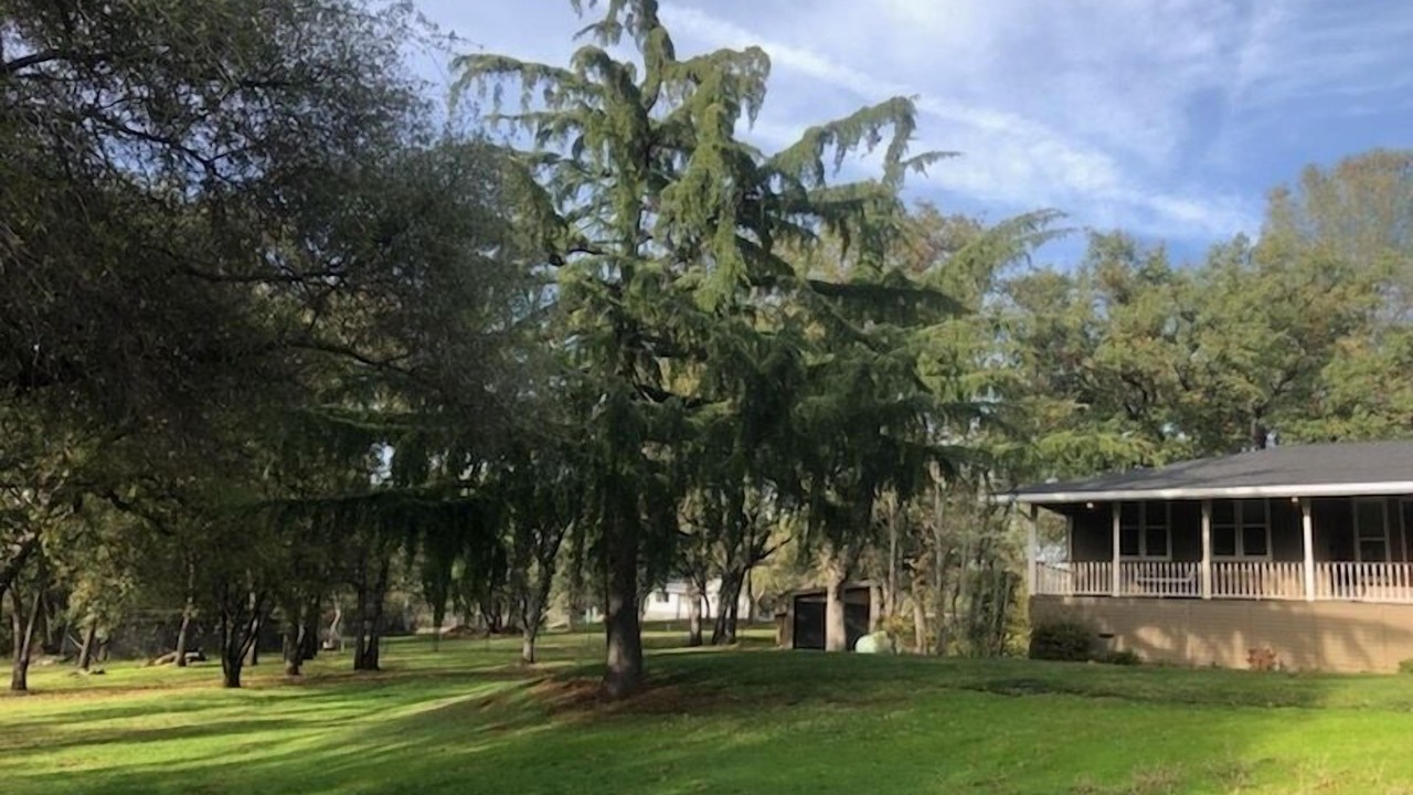 Photo of Outdoor in North Auburn