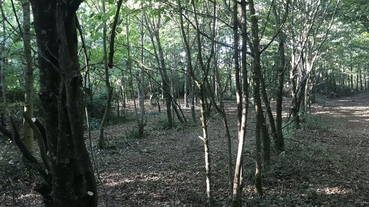 Photo of Others in Boitron