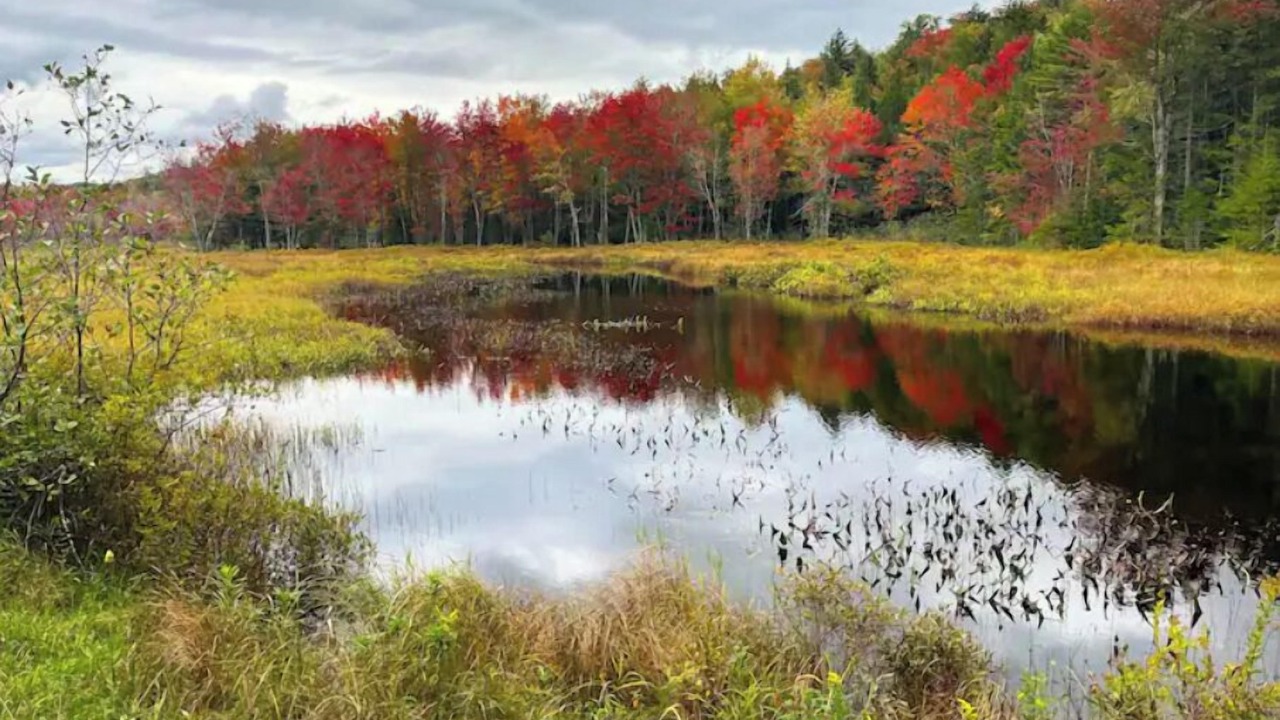 Photo of Outdoor in Caroga Lake