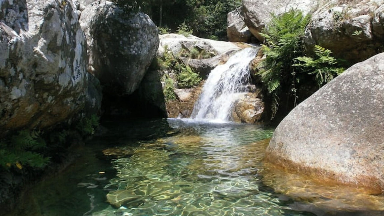 Photo of Others in Corte