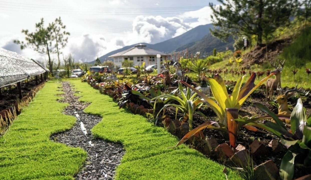Photo of Outdoor in Kundasang