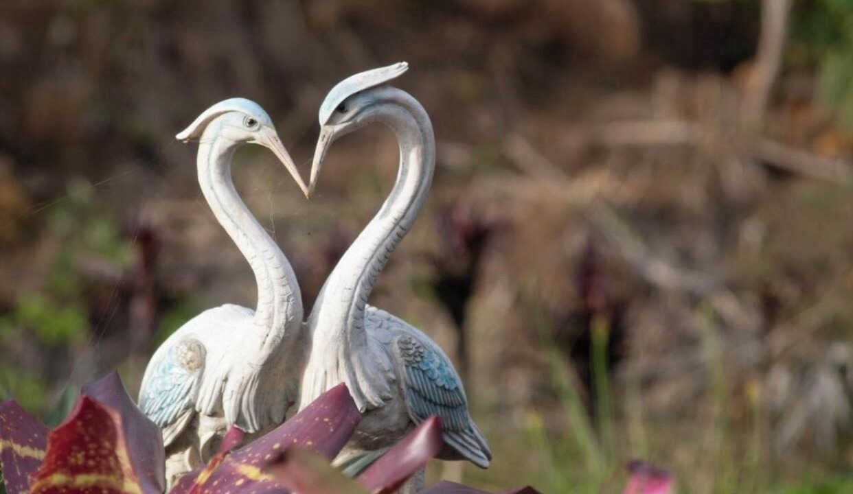 Photo of Outdoor in Kundasang