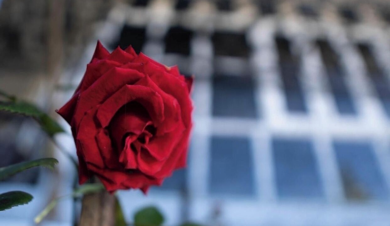 Photo of Outdoor in Kundasang