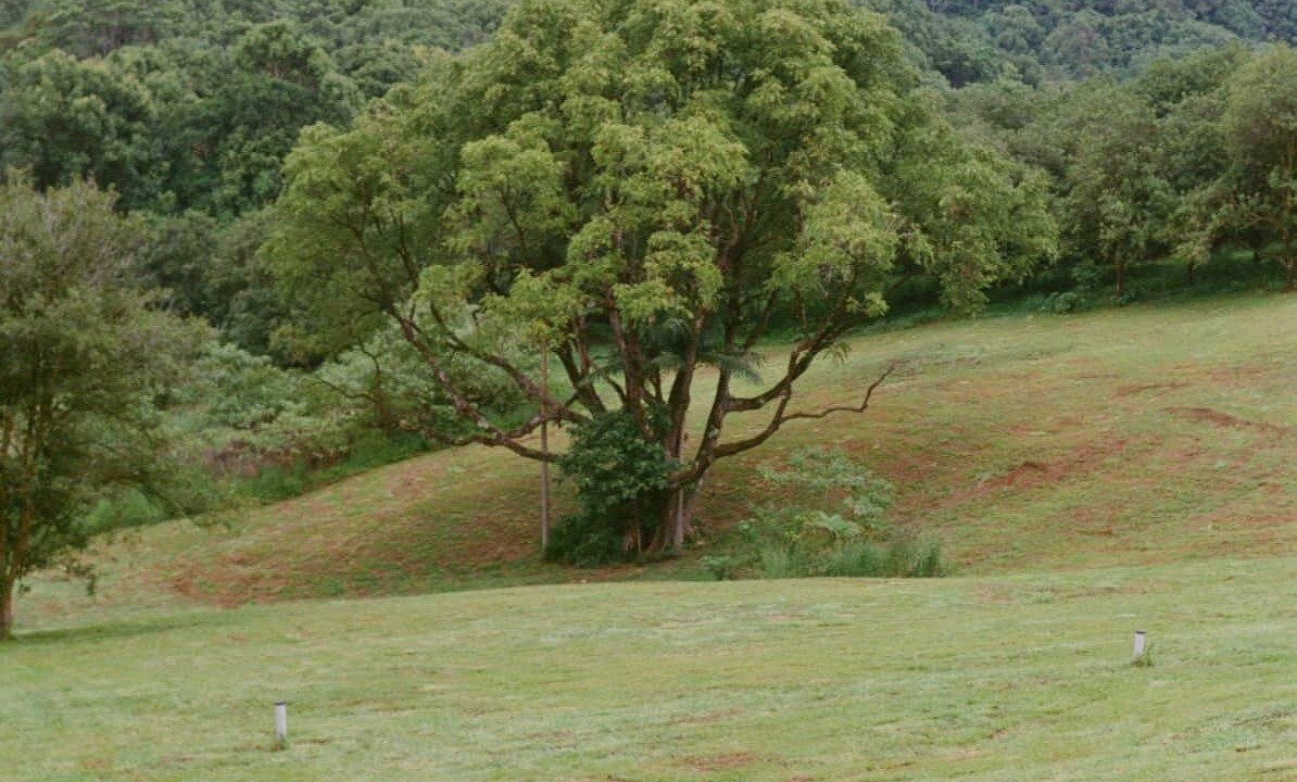 Photo of Others in Rosebank