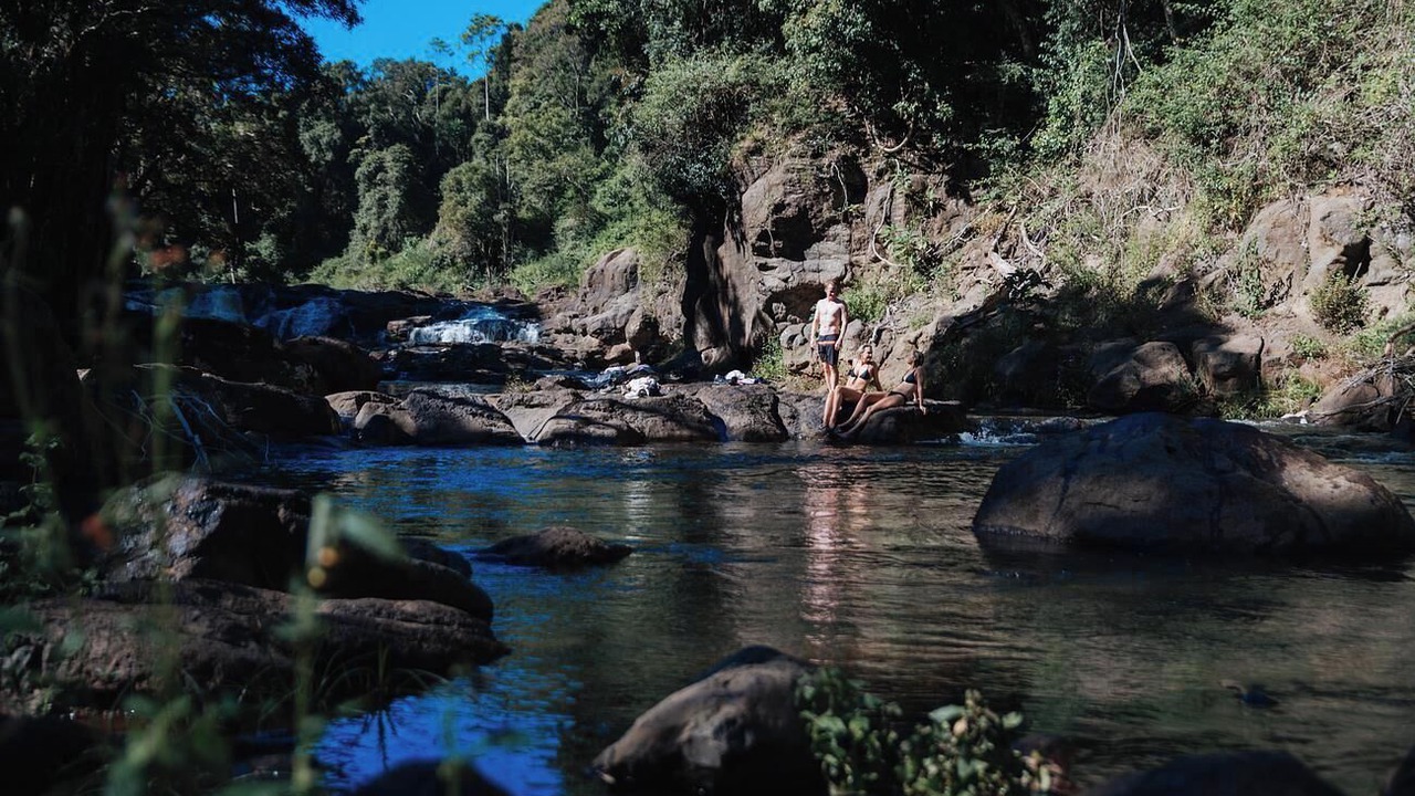 Photo of Others in Rosebank