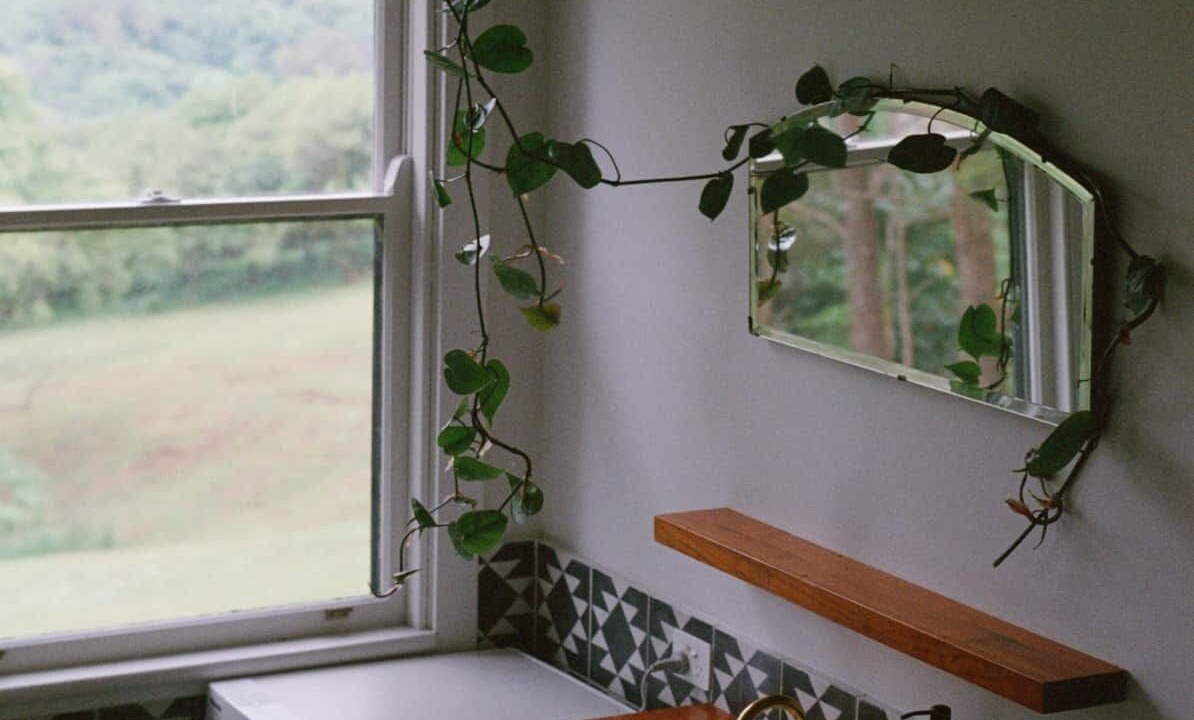 Photo of Others in Rosebank