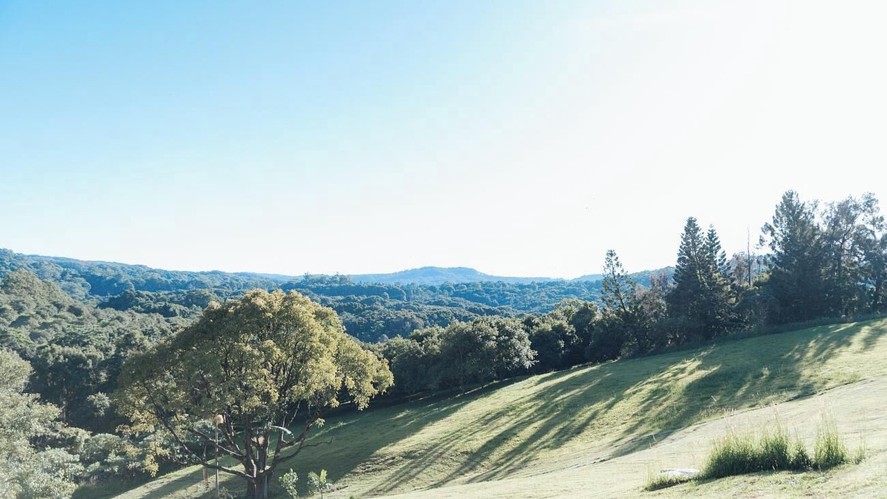 Photo of Others in Rosebank