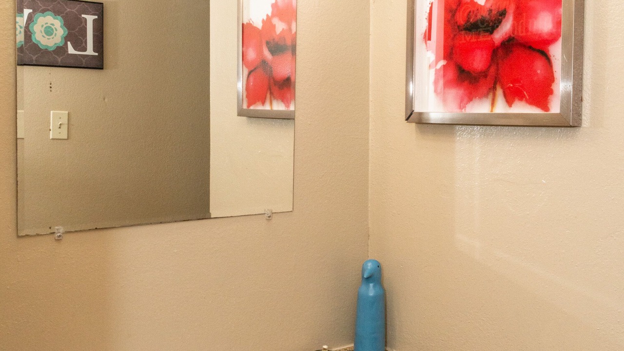 Photo of Bathroom in Shenandoah