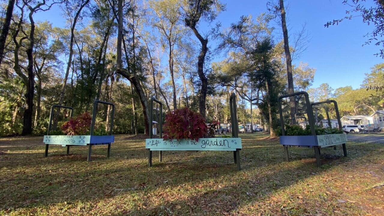 Photo of Others in Dunnellon