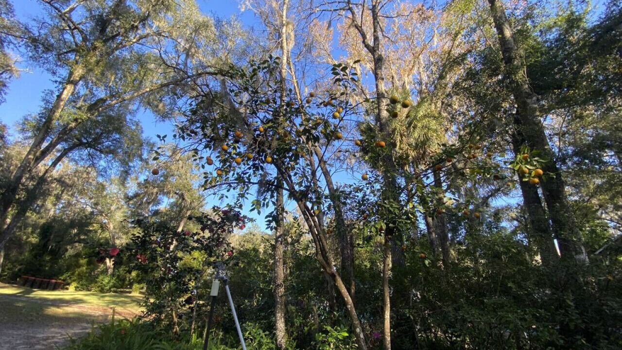 Photo of Others in Dunnellon