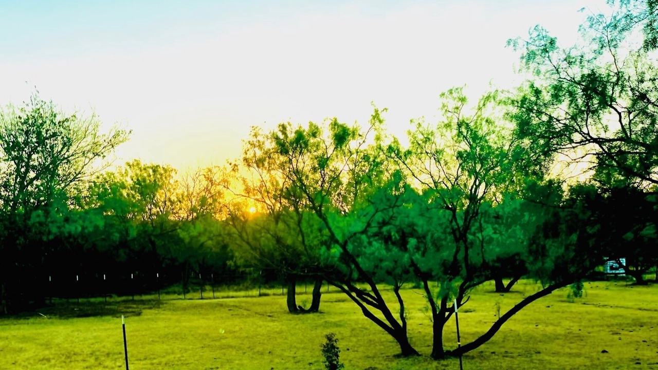 Photo of Outdoor in Iowa Park