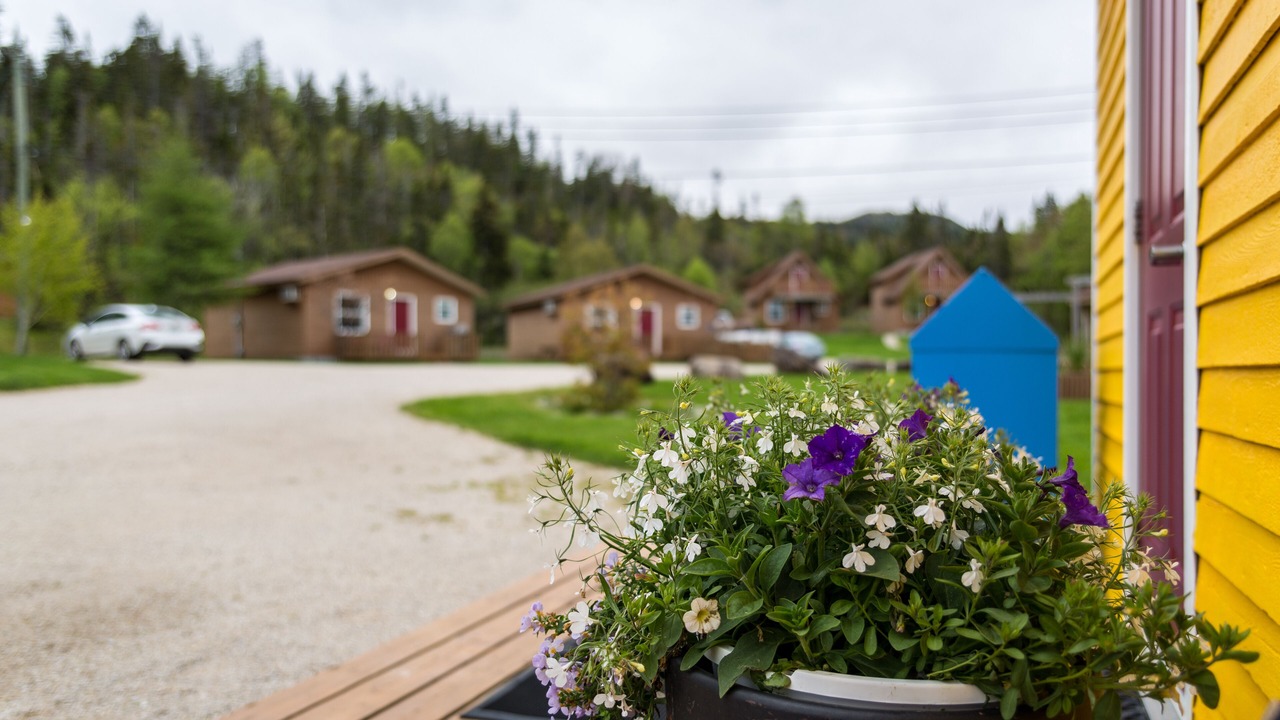 Photo of Outdoor in Glenburnie-Birchy Head-Shoal Brook