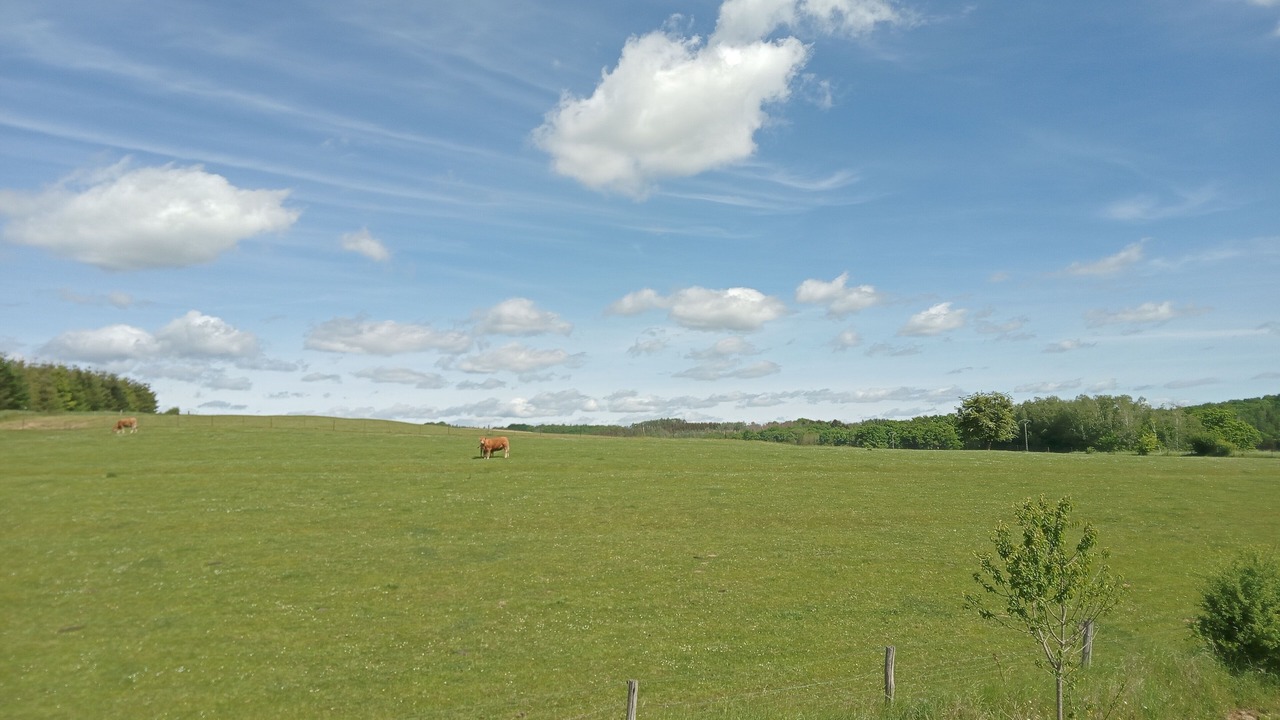 Photo of Others in Matton-et-Clemency
