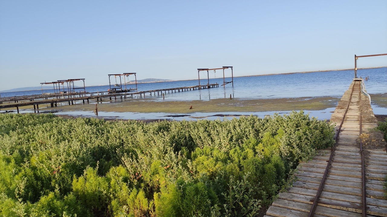Photo of Others in Marseillan