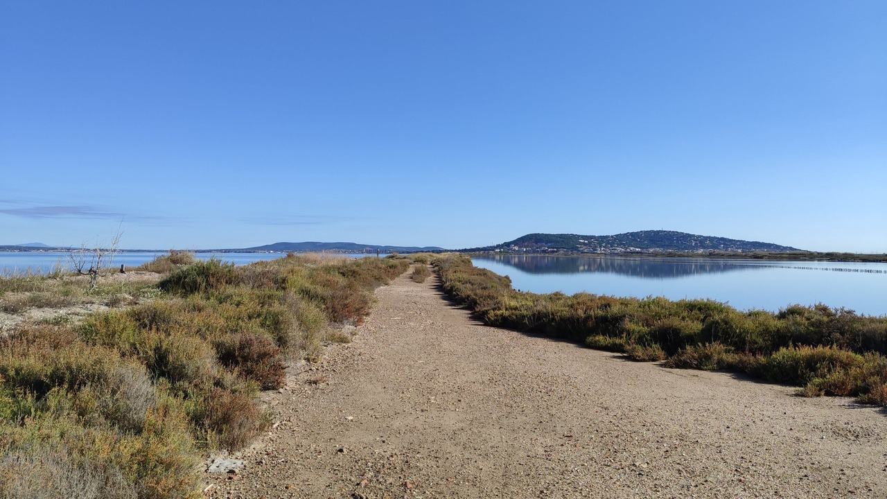 Photo of Others in Marseillan