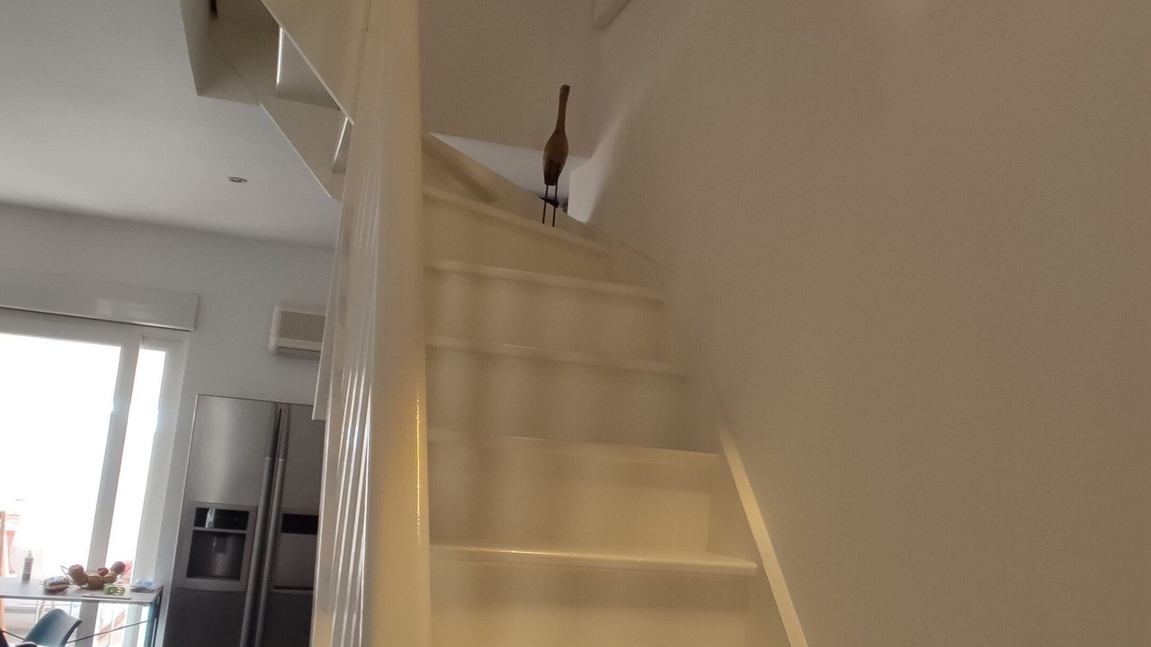 Photo of Others in Marseillan