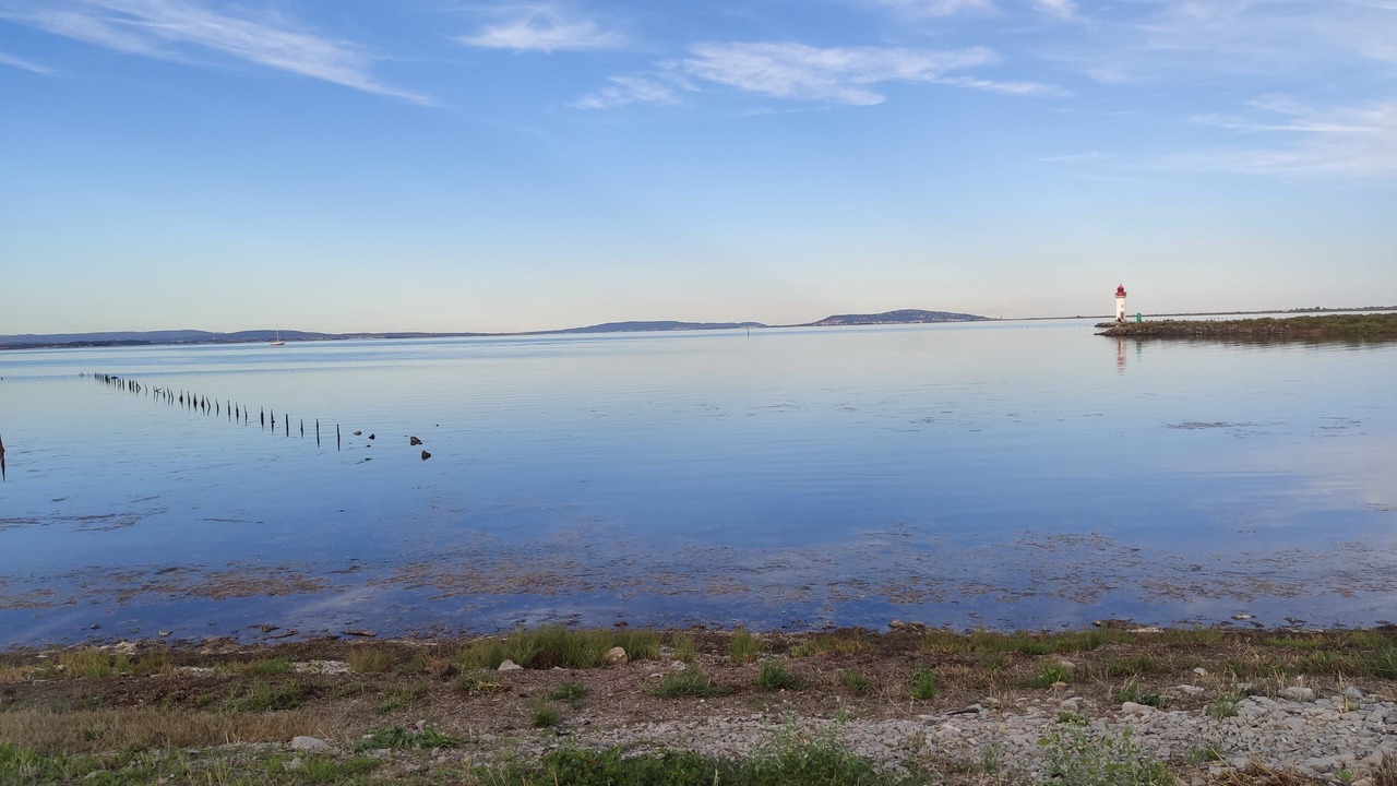 Photo of Others in Marseillan