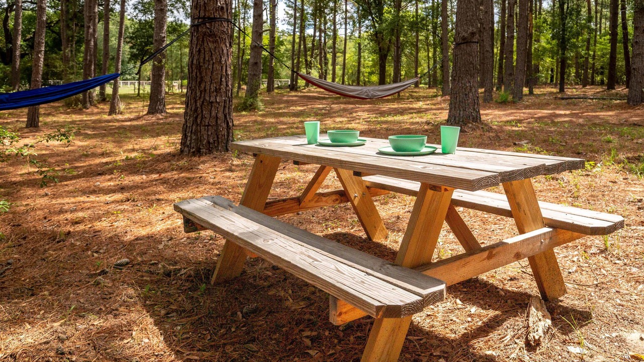 Photo of Outdoor in Navasota