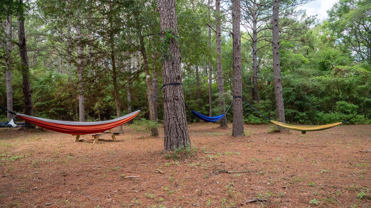Photo of Outdoor in Navasota