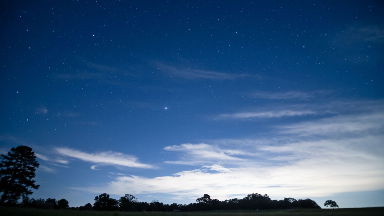 Photo of Others in Navasota