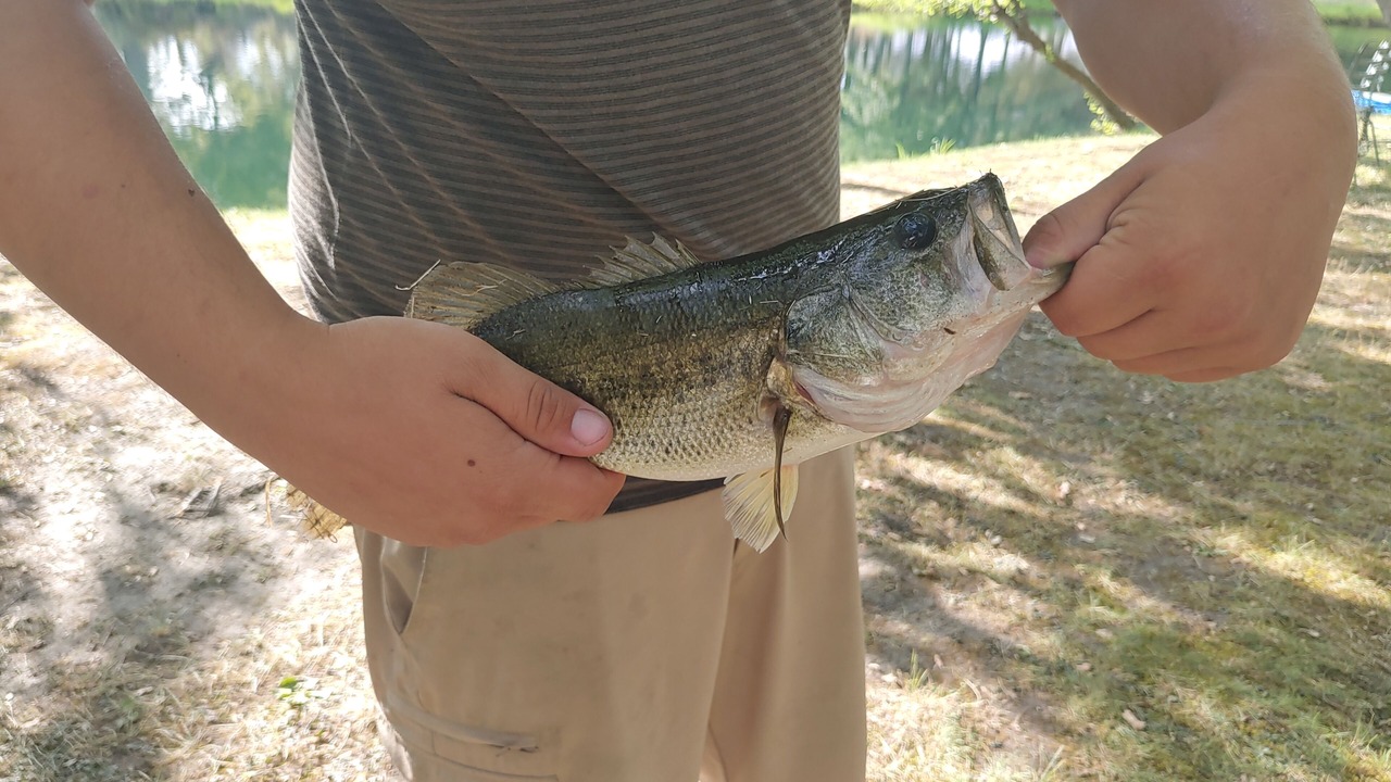Photo of Outdoor in Granite Bay