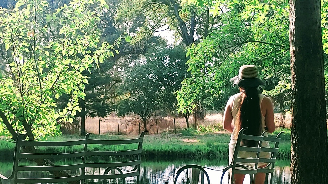 Photo of Outdoor in Granite Bay