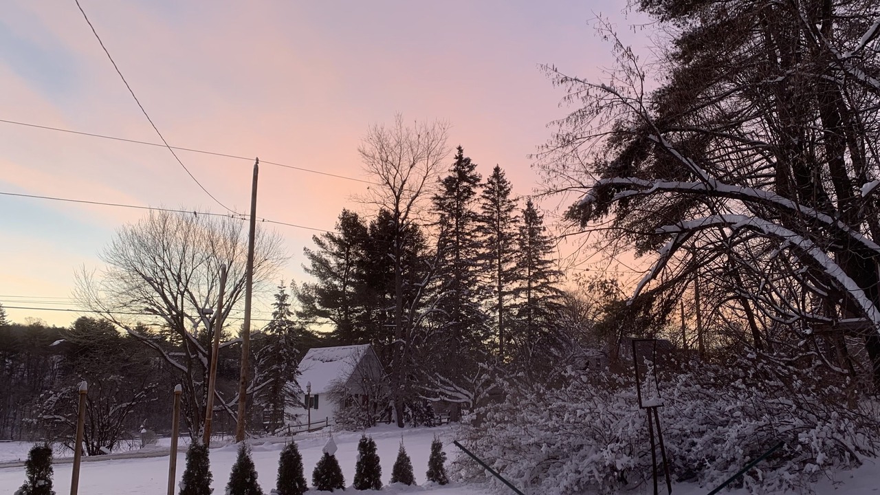 Photo of Others in Norwich